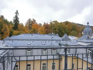 Prodej bytu 4+kk, Mariánské Lázně, Ruská, 110 m2