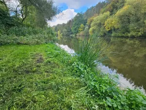 Prodej zahrady, Hvězdonice, 1154 m2