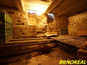 Prodej rodinného domu, Želeč, 237 m2