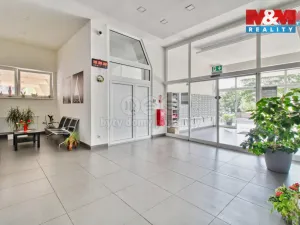 Prodej bytu 1+kk, Chomutov, Březenecká, 22 m2