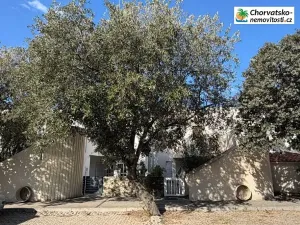 Prodej bytu 2+kk, Gajac, Chorvatsko, 43 m2