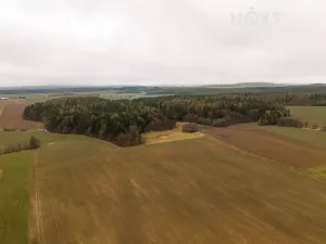 Prodej louky, Niva, 7301 m2