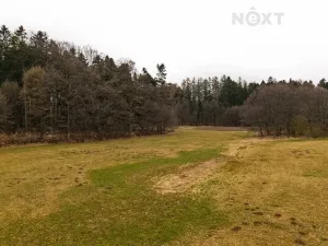 Prodej louky, Niva, 7301 m2
