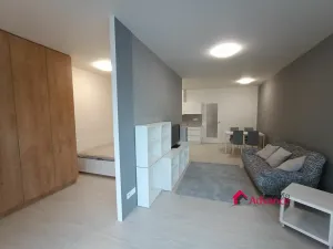 Pronájem bytu 2+kk, Ostrava, Důlní, 54 m2