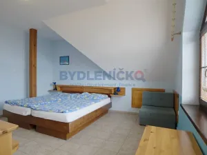 Prodej rodinného domu, Chlum u Třeboně, 475 m2