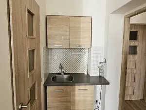 Pronájem bytu 1+kk, Brno, Rotalova, 25 m2