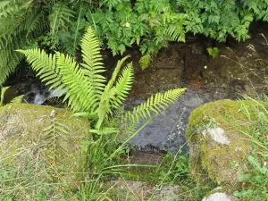 Prodej chalupy, Černý Důl, 194 m2