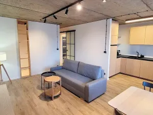 Pronájem bytu 2+kk, Praha - Braník, Ve studeném, 56 m2