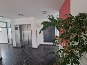 Prodej bytu 2+kk, Pardubice, Rokycanova, 57 m2