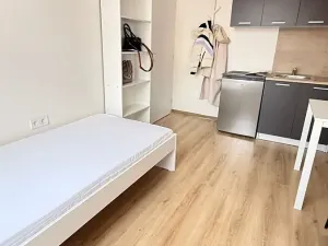 Pronájem bytu 1+kk, Kladno, Hřebečská, 18 m2