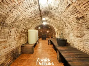 Prodej vinného sklepa, Čejč, 198 m2