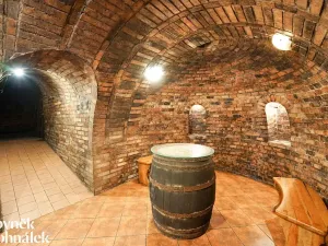 Prodej vinného sklepa, Čejč, 198 m2