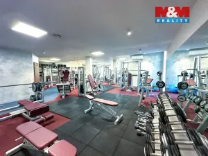 Prodej obchodního prostoru, Praha - Smíchov, Kobrova, 276 m2