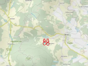 Prodej podílu lesa, Brloh, 5446 m2