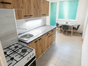 Prodej bytu 1+1, Olomouc - Nová Ulice, Pionýrská, 45 m2