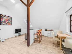 Prodej rodinného domu, Domažlice - Město, Spálená, 312 m2