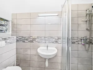 Prodej rodinného domu, Domažlice - Město, Spálená, 312 m2