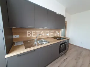 Pronájem bytu 2+kk, Brno, Plotní, 49 m2