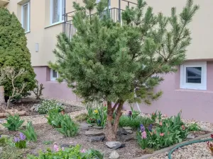 Pronájem bytu 3+1, Poděbrady, Puškinova, 70 m2