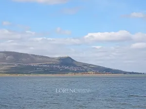 Prodej chaty, Šakvice, 33 m2