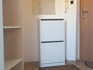 Pronájem bytu 1+kk, Brno, Skopalíkova, 25 m2