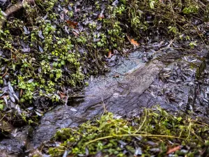 Prodej chalupy, Nevězice, 128 m2