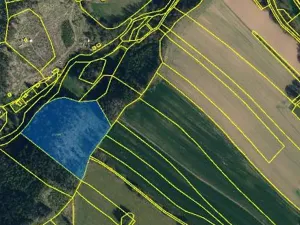 Prodej lesa, Pelhřimov, 14638 m2