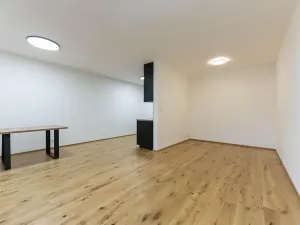 Pronájem bytu 1+kk, Praha - Nusle, Muzikova, 50 m2