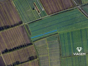 Prodej pole, Bánov, 4681 m2