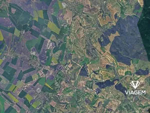 Prodej lesa, Bošovice, 3277 m2