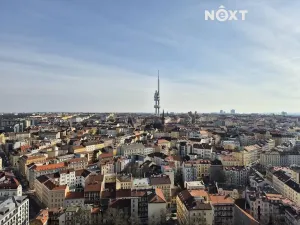 Pronájem bytu 2+1, Praha - Žižkov, Žerotínova, 64 m2