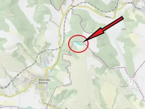 Prodej podílu lesa, Dolní Kounice, 1559 m2