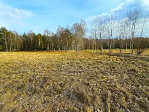 Prodej pozemku pro bydlení, Hranice, 10095 m2