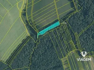 Prodej podílu lesa, Malhotice, 1965 m2