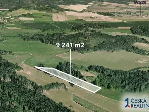 Prodej podílu lesa, Dolany, 3080 m2