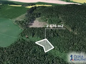 Prodej podílu lesa, Chýstovice, 669 m2