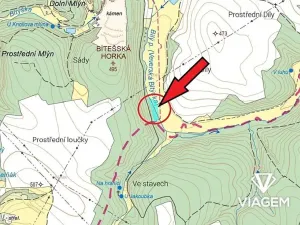 Prodej podílu lesa, Velká Bíteš, 1431 m2