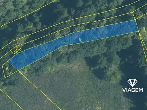 Prodej podílu lesa, Starý Jičín, 946 m2