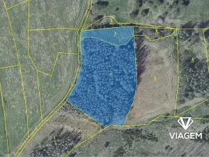 Prodej podílu lesa, Radošovice, 2390 m2