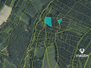 Prodej podílu lesa, Roztoky u Semil, 2737 m2