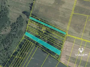 Prodej lesa, Bačice, 8463 m2