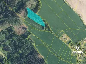 Prodej podílu lesa, Syřenov, 4299 m2