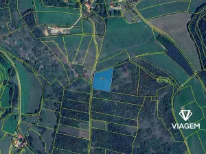 Prodej pole, Kamenec, 3633 m2