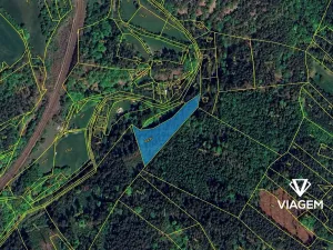 Prodej podílu lesa, Kuřimská Nová Ves, 3556 m2