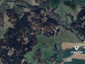Prodej lesa, Stříbrná Skalice, 2484 m2