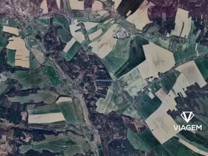 Prodej podílu lesa, Budětsko, 990 m2