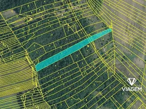 Prodej lesa, Silůvky, 4817 m2