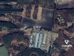 Prodej pole, Lipec, 1239 m2