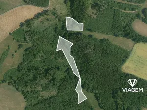 Prodej lesa, Zbizuby, 6015 m2