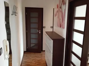 Pronájem bytu 1+1, Orlová, Ke Studánce, 36 m2